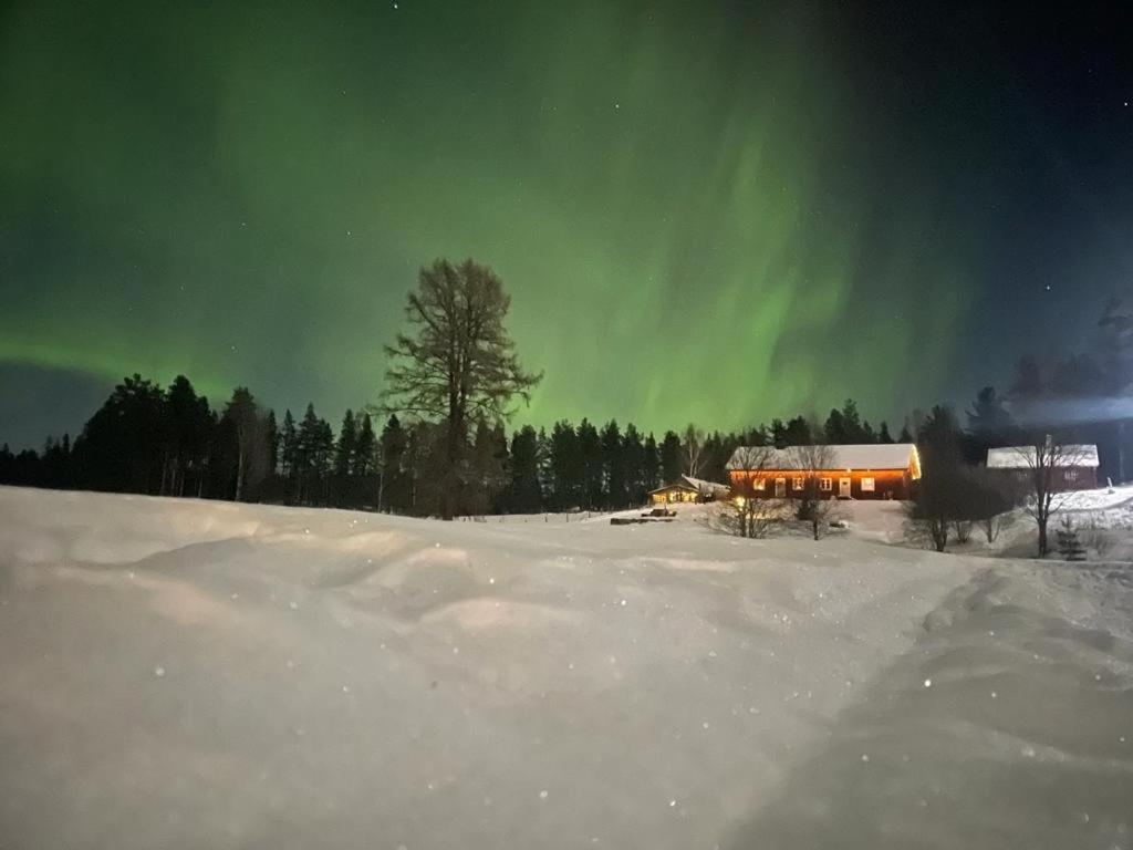 Projekt Schwedenalm Furudal Exterior foto
